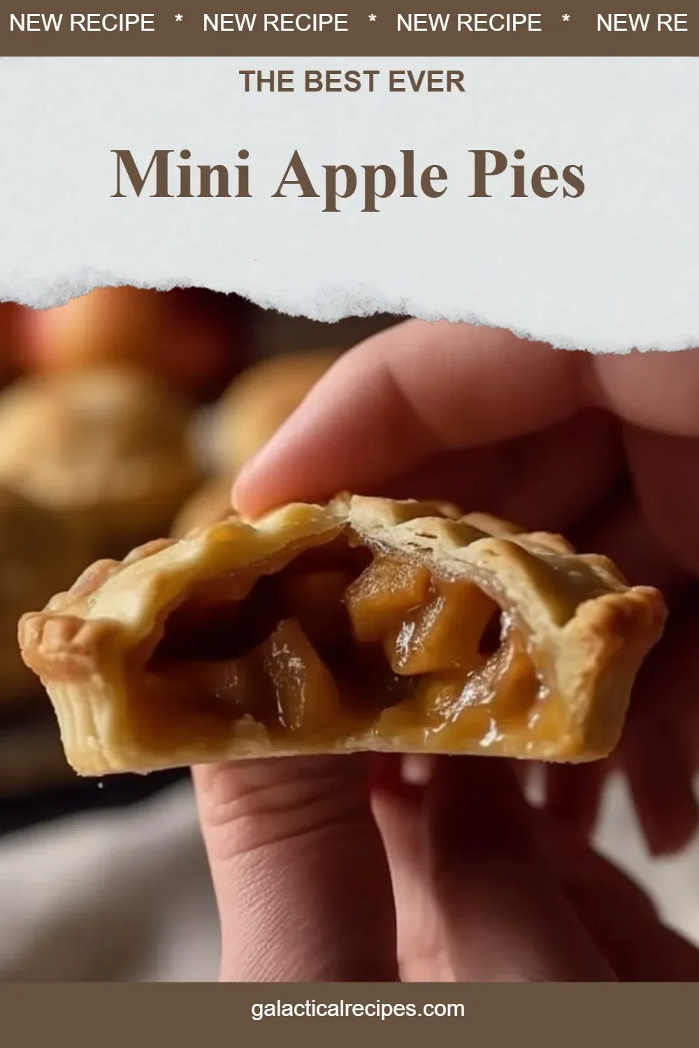 Mini apple pies freshly baked and ready to serve for dessert