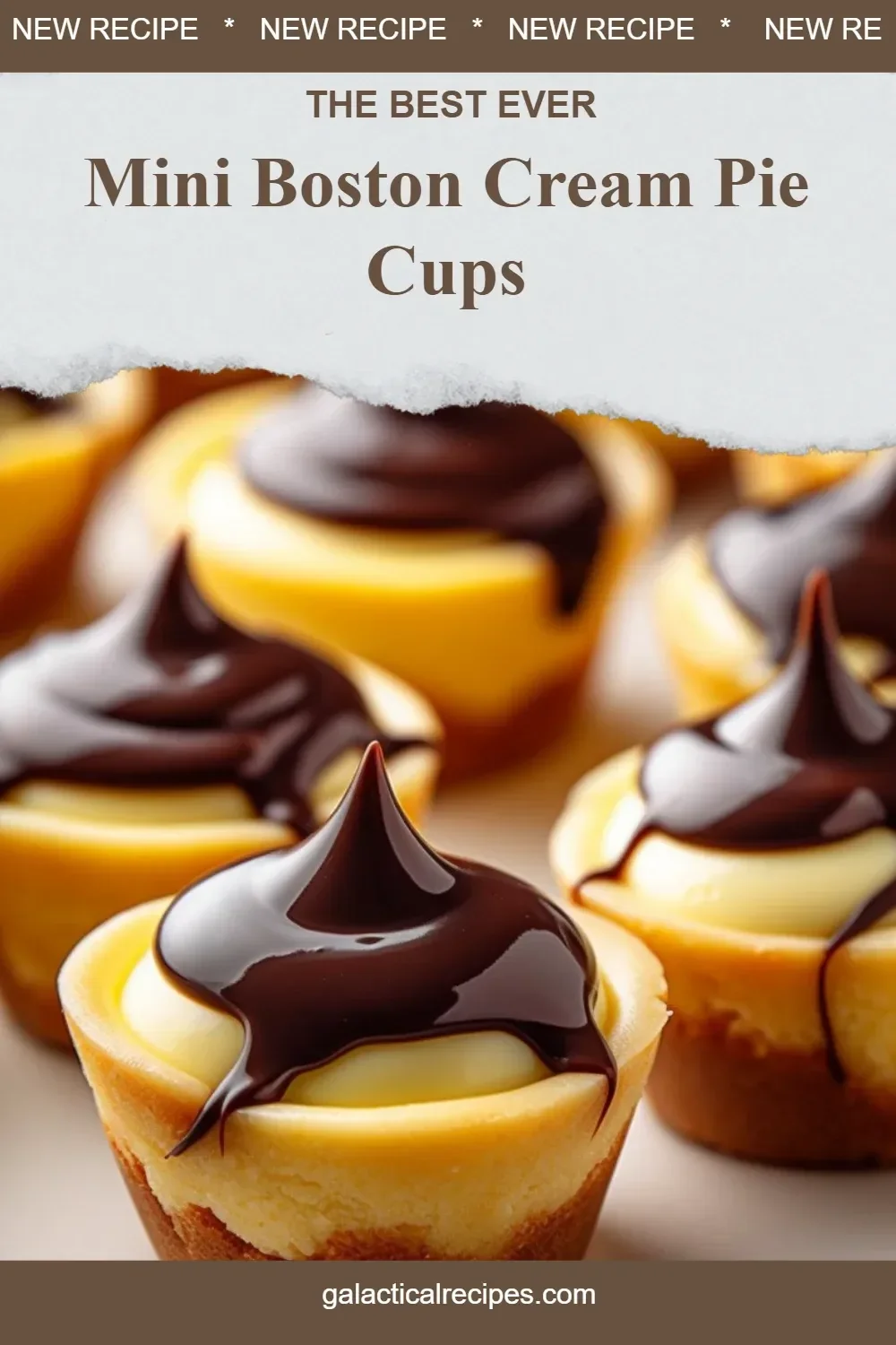 Delicious Mini Boston Cream Pie Cups served on a plate