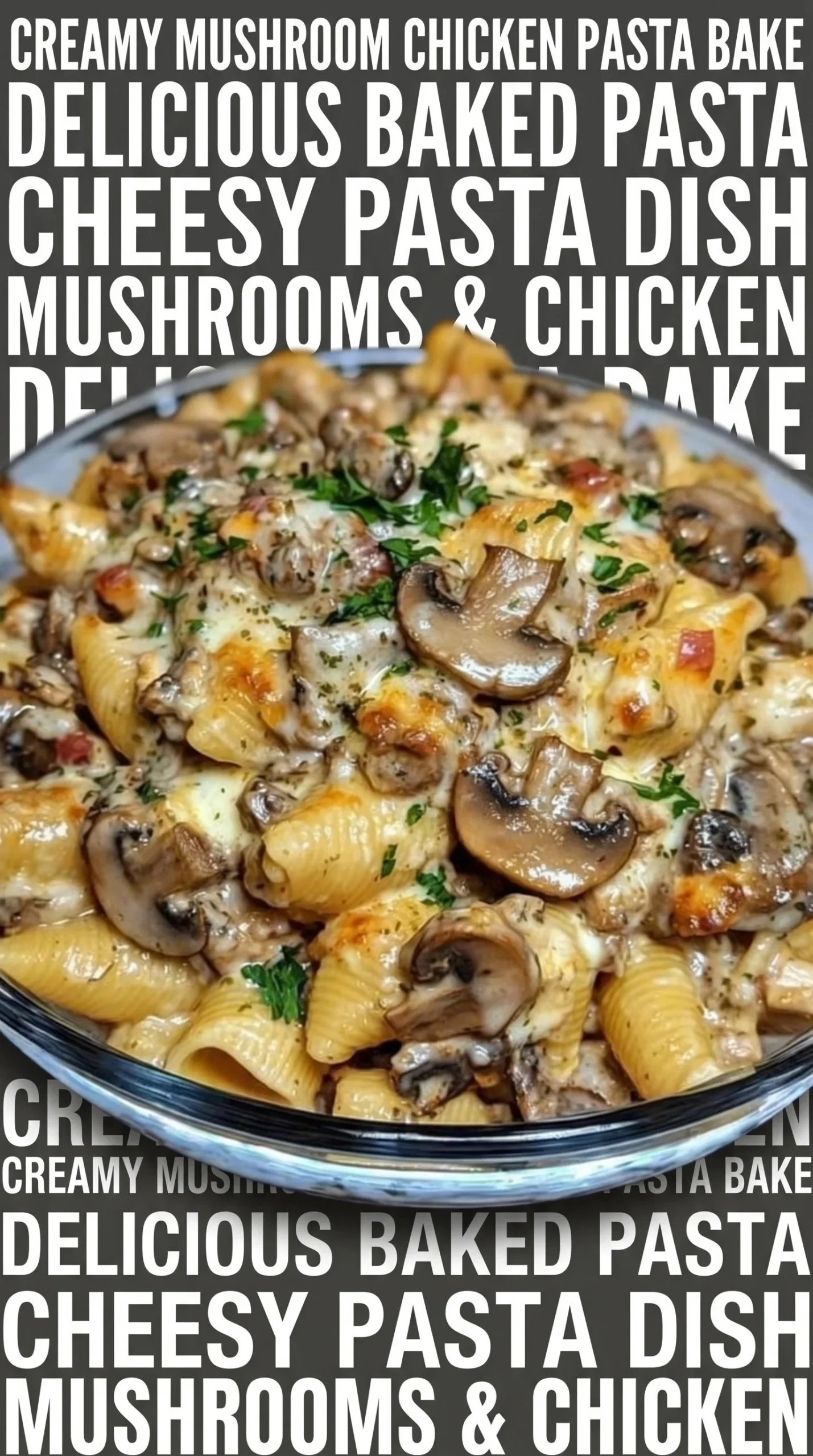 Chicken shells with mushrooms in garlic parmesan sauce on a plate
